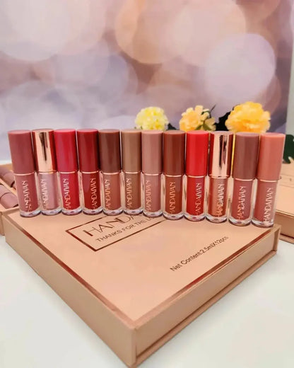 Handaiyan Velvet Matte Liquid Lipstick Set 12Pcs
