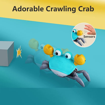 Crawl-n-Crab Companion Toy