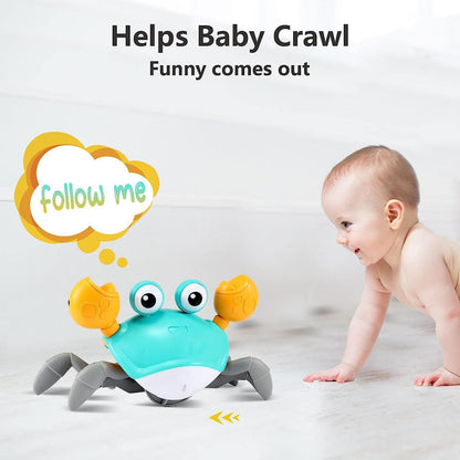 Crawl-n-Crab Companion Toy